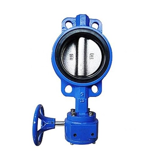 Hvor meget ved du om Wafer Butterfly Valve With Worm Gear?